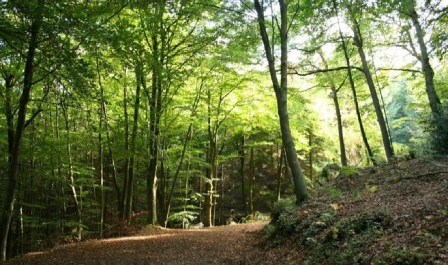 Haus Natura Jurdani Buitenkant foto